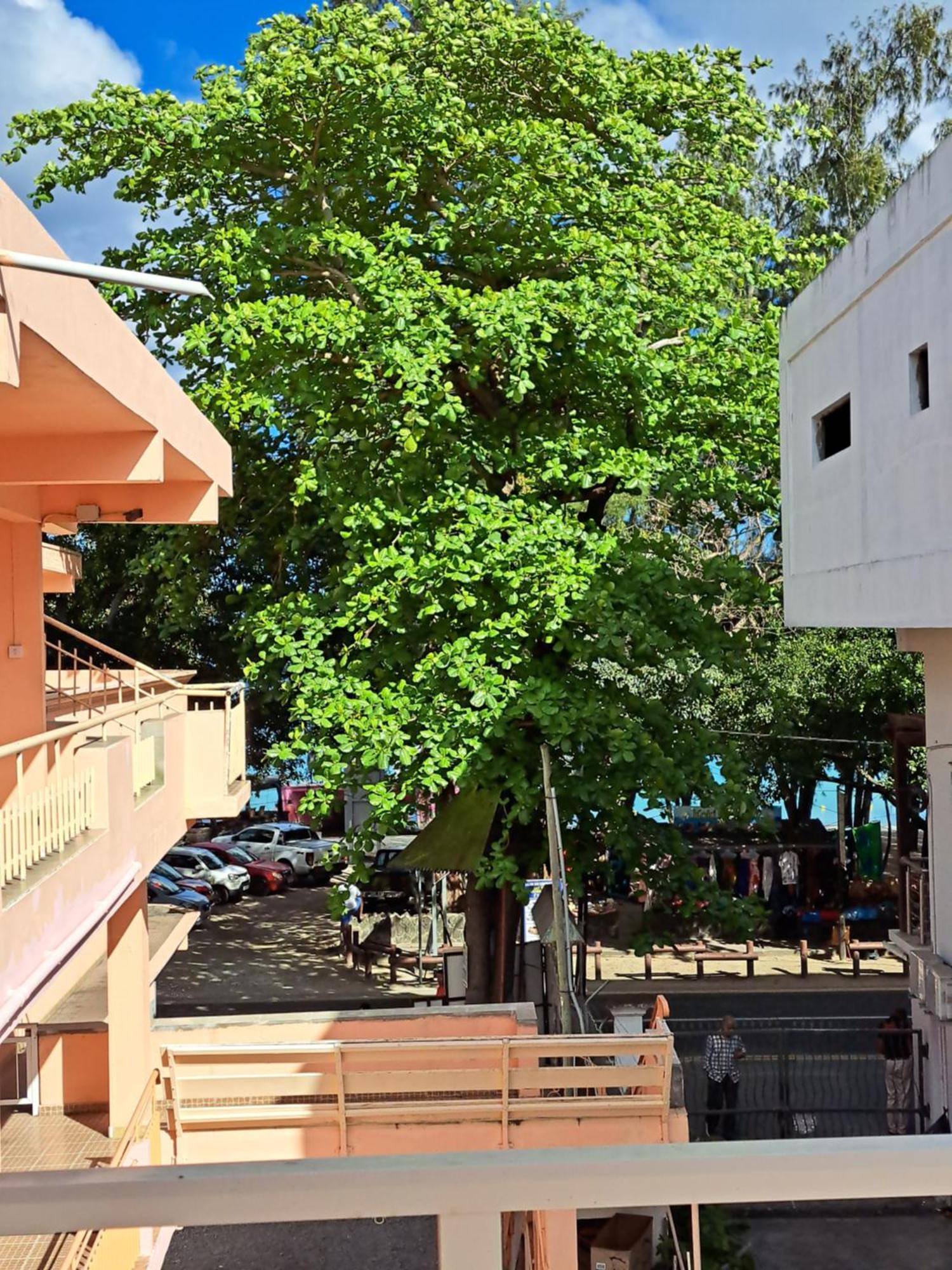 Bano Beach Residence - Grand Bay Beach Bagian luar foto